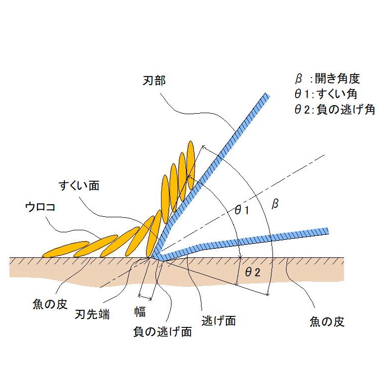 ウロコ