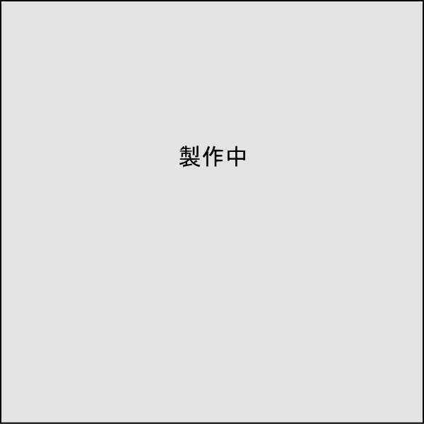 枝針 仕掛 自作 作り方 手作り キス アジ イワシ カマス イサキ ワカサギ 喰わせサビキ サビキ 
