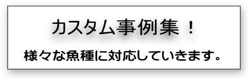 カスタム事例集