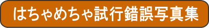 はちゃめちゃ試行錯誤写真集
