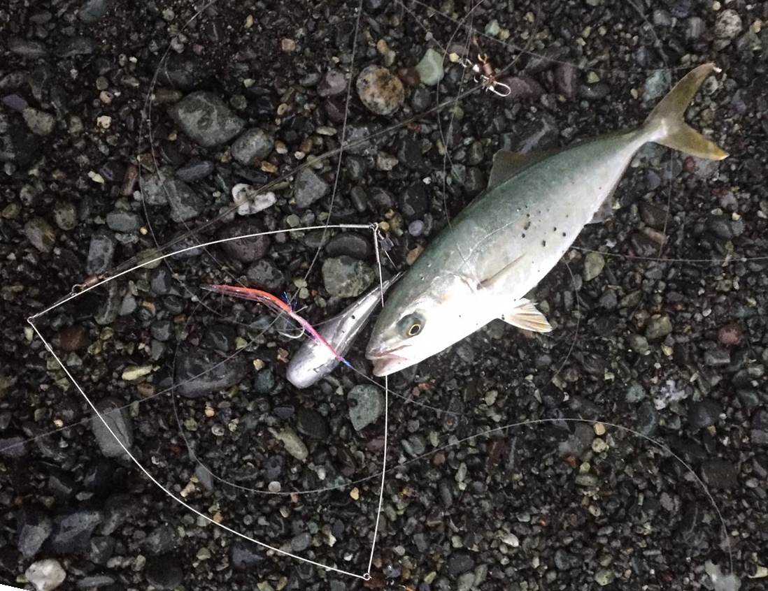 サーフトローリング 投げ釣り キス釣り 高感度 天秤