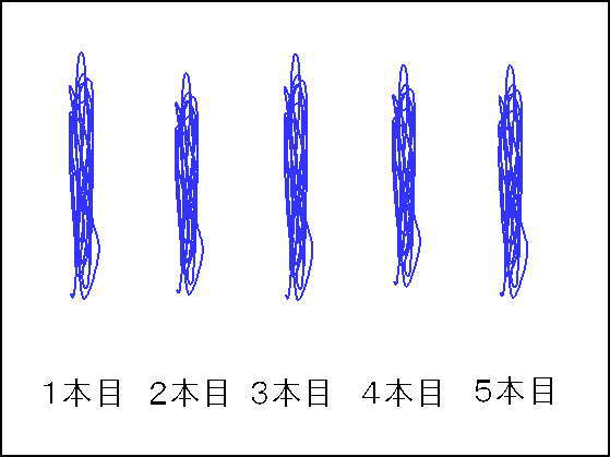 力糸 自作 手作り pe