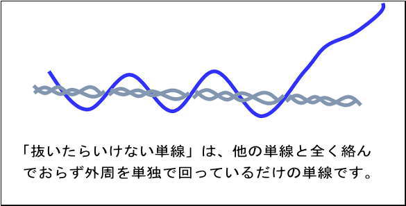 力糸 自作 手作り pe