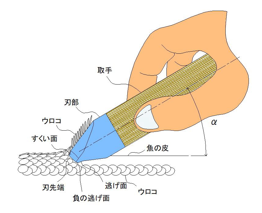 ウロコ ウロコ取り 鱗 鱗取り うろこ 魚 取り方 道具 捌き方