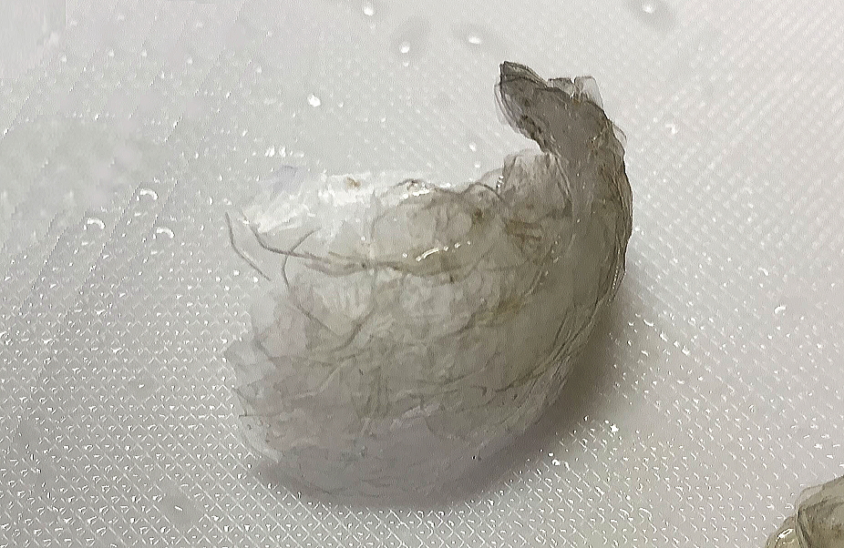 ウロコ ウロコ取り 鱗 鱗取り うろこ 魚 取り方 道具 捌き方